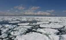 奇跡の流氷～オホーツク海が生み出す命の源